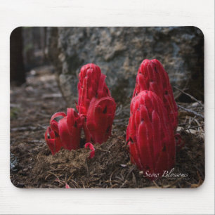 Snö Blommars Mousepad Musmatta