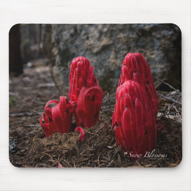 Snö Blommars Mousepad Musmatta (Framsidan)