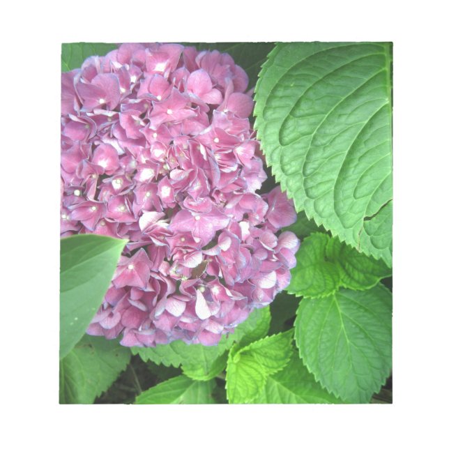 Snö Boll Anteckningsblock (Framsida)