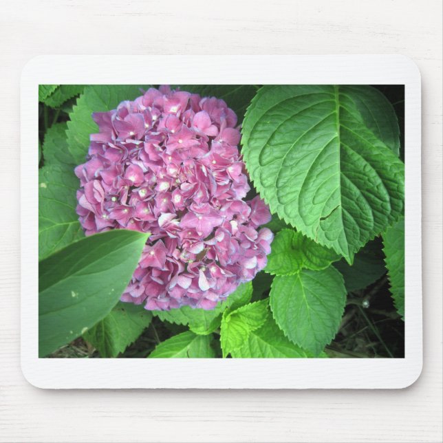 Snö Boll Musmatta (Framsidan)