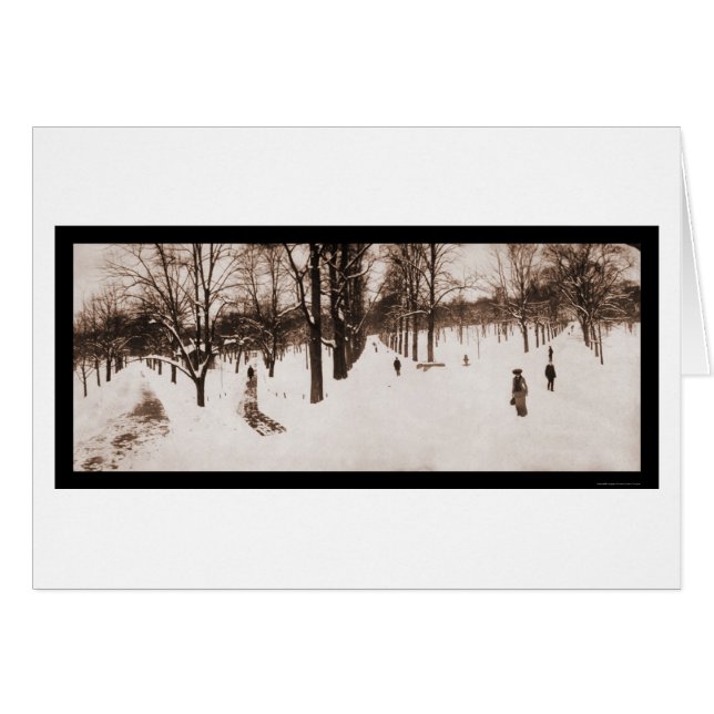 Snö Boston Common, MORSA Photo 1904 Hälsningskort (Framsidan Horizontal)