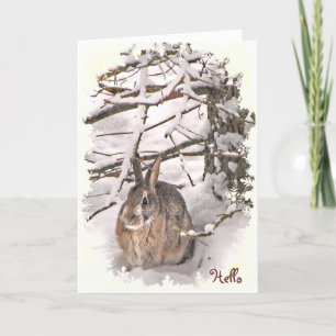 Snö Bunny Rabbit tänker på dig Kort