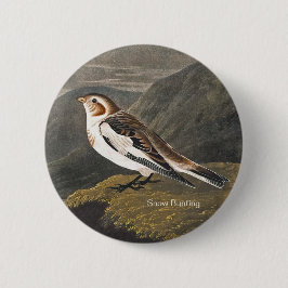 Snö Bunting av John James Audubon, Birders Bird Knapp