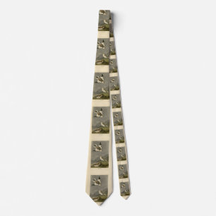 Snö Bunting John James Audubon's Birds of America Slips