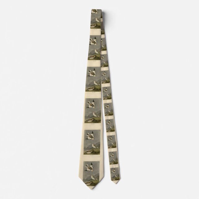 Snö Bunting John James Audubon's Birds of America Slips (Framsida)