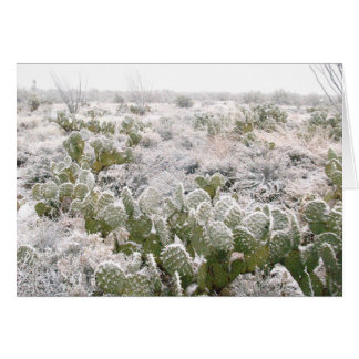 Snö Cactus Hälsningskort