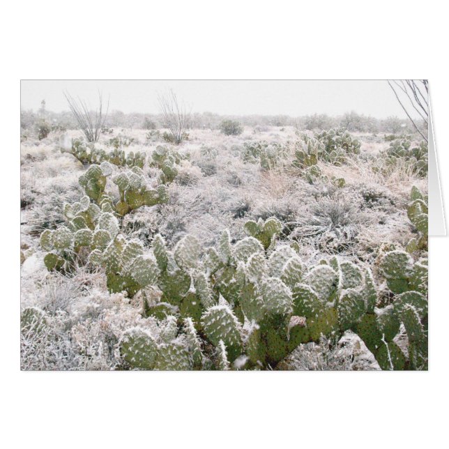 Snö Cactus Hälsningskort (Framsidan Horizontal)