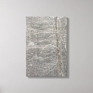 Snö Canvastryck