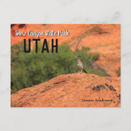 Snö Canyon Roadrunner Utah Vykort