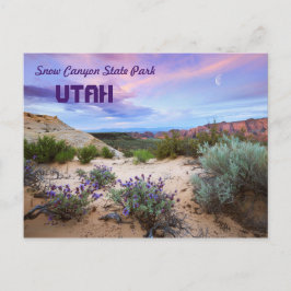 Snö Canyon State Park Utah Vykort