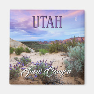 Snö Canyon Utah Magnet