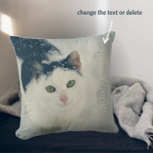 Snö cat