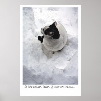 Snö Cat Poster
