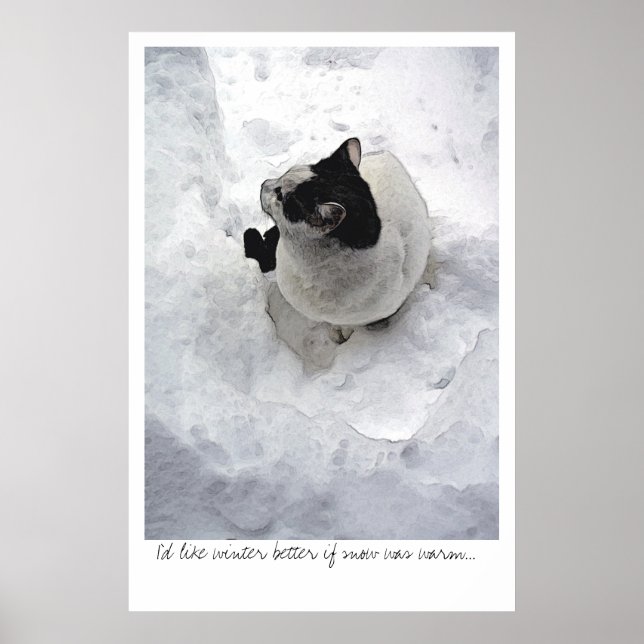 Snö Cat Poster (Framsidan)