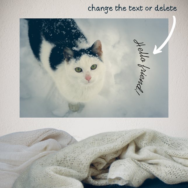 Snö cat poster (Skapare uppladdad)