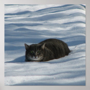 SNÖ CAT POSTER