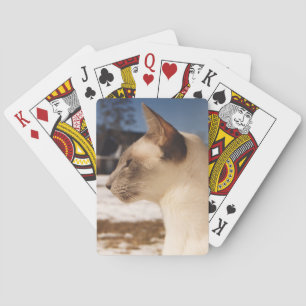 Snö Cat - Siamesisk blå punktprofil Casinokort