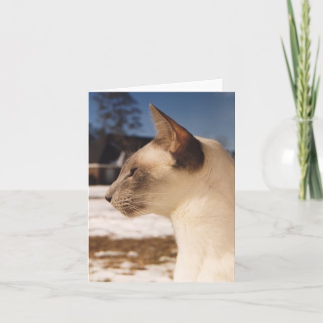 Snö Cat - Siamesisk blå punktprofil Kort (Framsida)