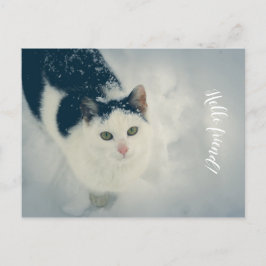Snö cat vykort
