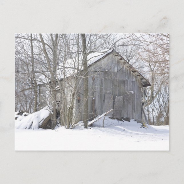 Snö Cover Vykort (Framsida)