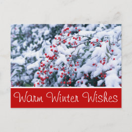 Snö Covered Holly Berries Anpassade Postcards Vykort