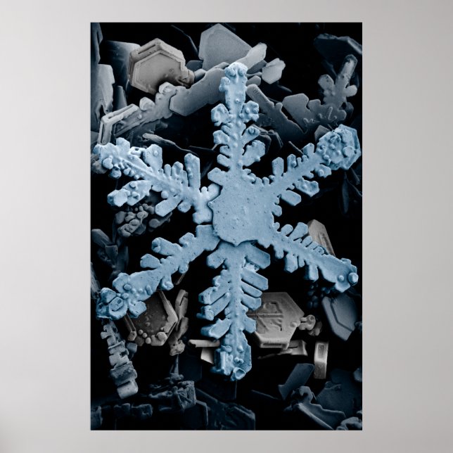 Snö Crystal 2 Poster (Framsidan)