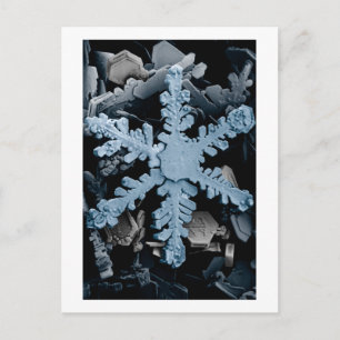 Snö Crystal 2 Vykort