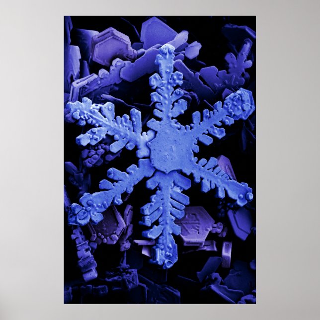 Snö Crystals Poster (Framsidan)