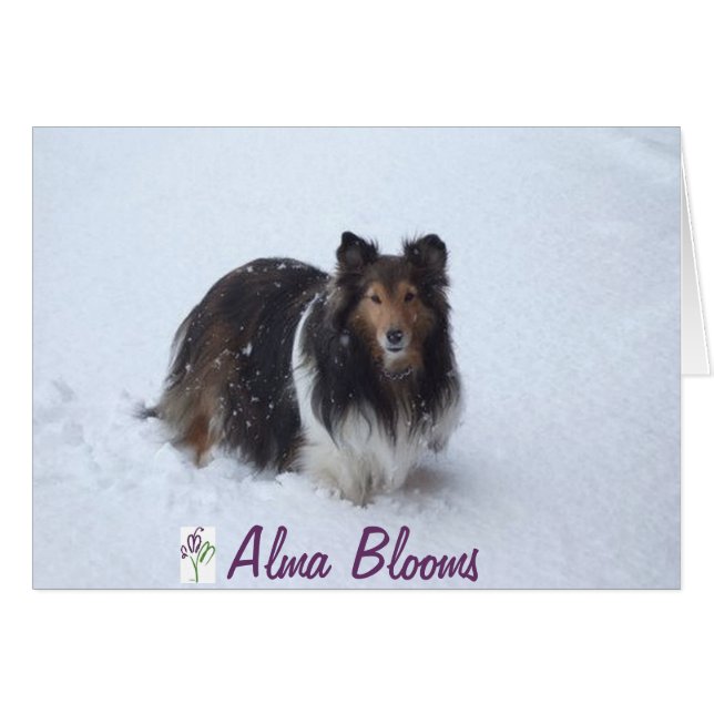 Snö-dagen Hälsningskort (Framsidan Horizontal)