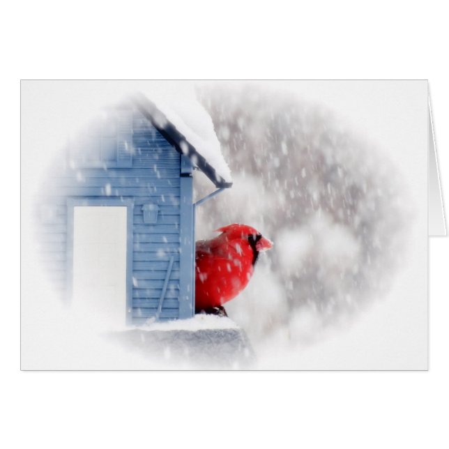 Snö-dagskardinal - fåglar hälsningskort (Framsidan Horizontal)