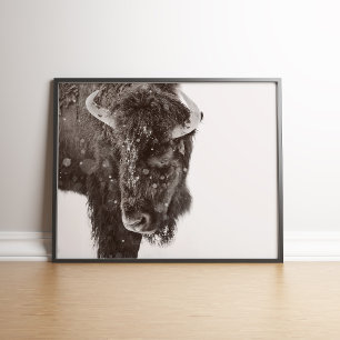Snö-dammad American Bison Poster