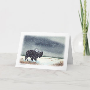 Snö dammad av Bison Helgkort