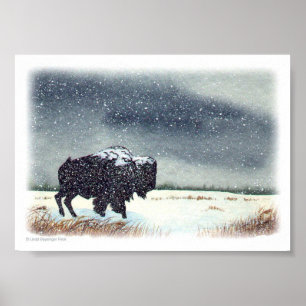 Snö dammad av Bisonmålning Poster