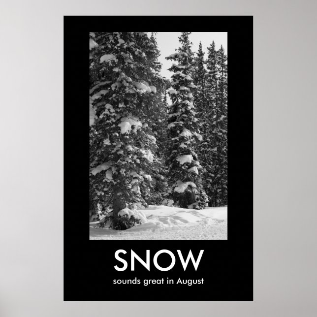 SNÖ Demotiational Poster (Framsidan)