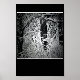 snö drottningens bower poster