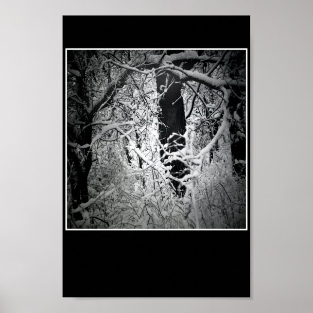 snö drottningens bower poster (Framsidan)