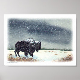 Snö Dusted Bison Painting Poster