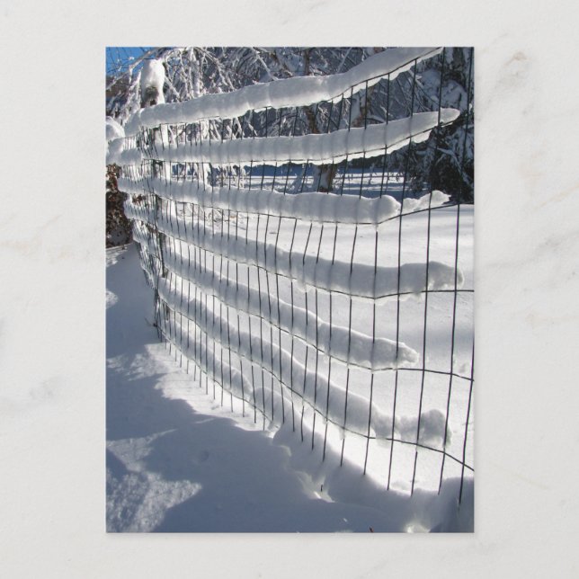 Snö Fence ~ vykort (Framsida)