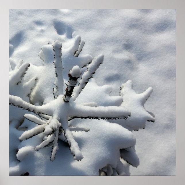 Snö filt poster (Framsidan)