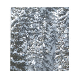 Snö Fir Träd Struktur Anteckningsblock