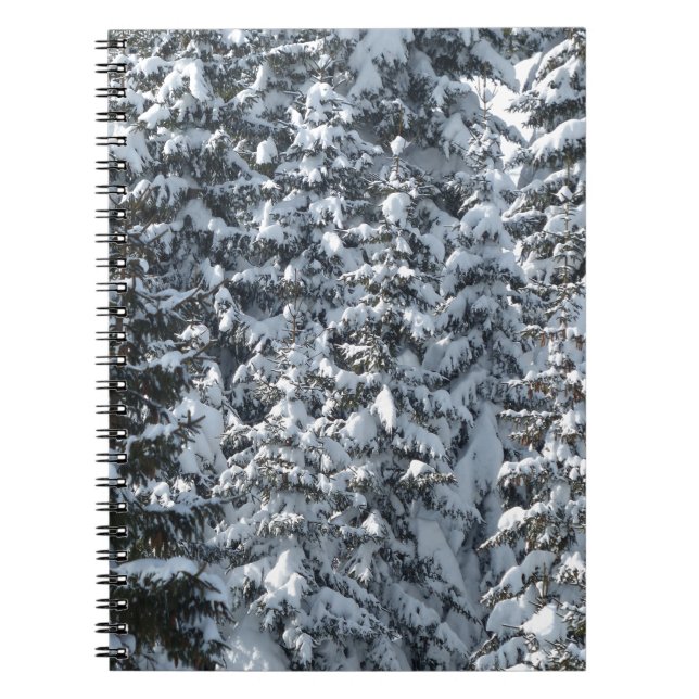 Snö Fir Träd Struktur Anteckningsbok Med Spiral (Framsidan)