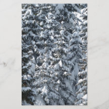 Snö Fir Träd Struktur