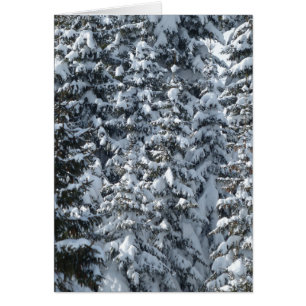 Snö Fir Träd Struktur Hälsningskort