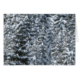 Snö Fir Träd Struktur Hälsningskort