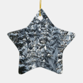 Snö Fir Träd Struktur Julgransprydnad Keramik