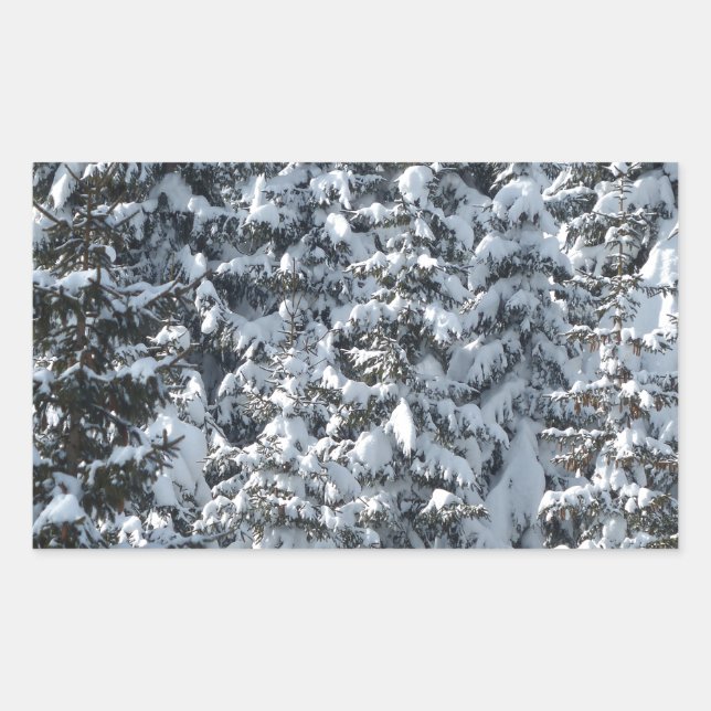 Snö Fir Träd Struktur Rektangulärt Klistermärke (Framsida)