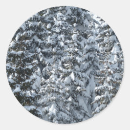 Snö Fir Träd Struktur Runt Klistermärke