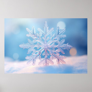 Snö Flake Nature Serene Tranquil Peace Poster
