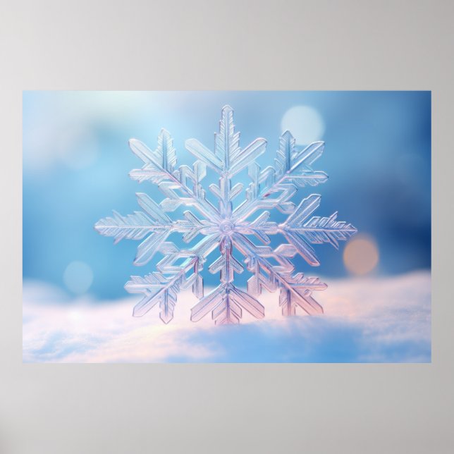Snö Flake Nature Serene Tranquil Peace Poster (Framsidan)