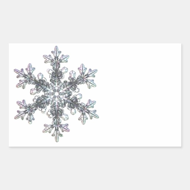 Snö flake rektangulärt klistermärke (Framsida)